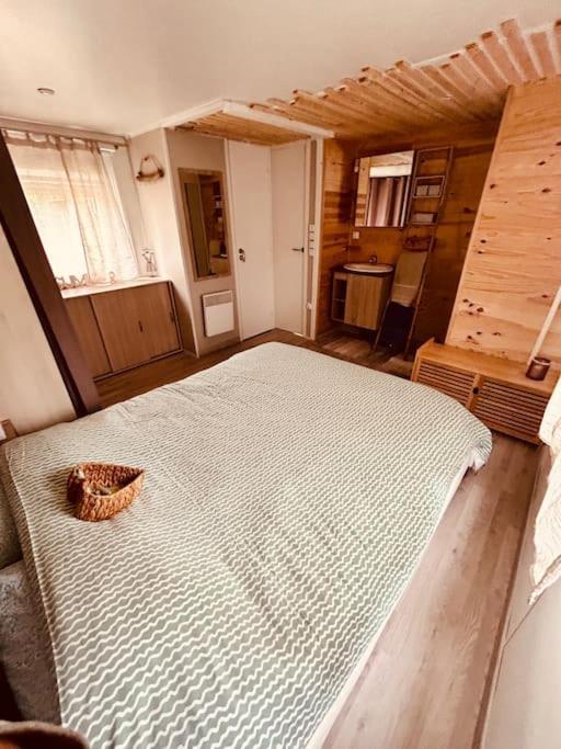 Mobilhome 45M2 罗克布伦河畔阿尔让 外观 照片
